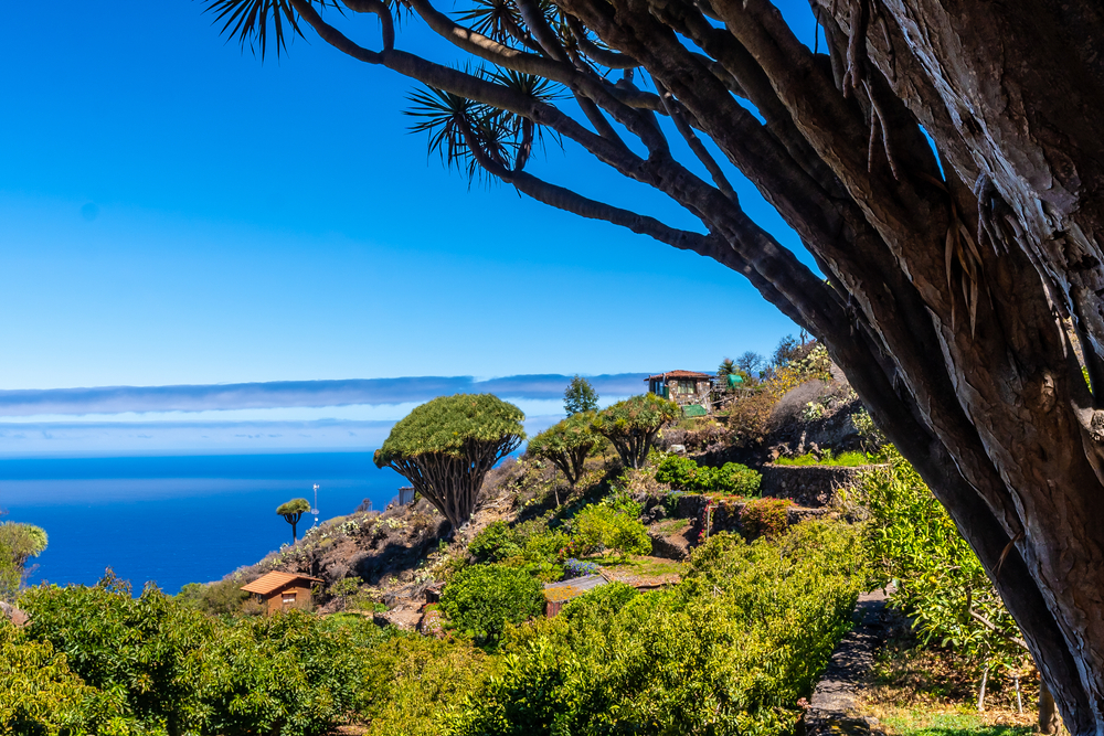vue sur la palma île espagnole