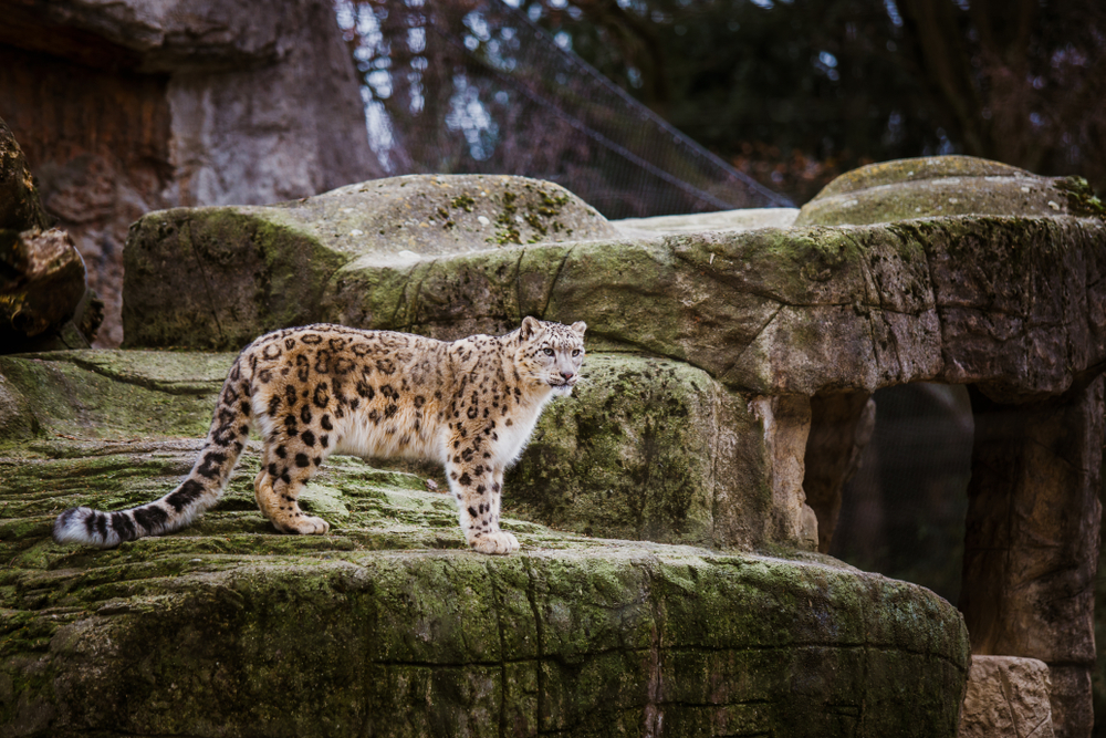 zoo basel