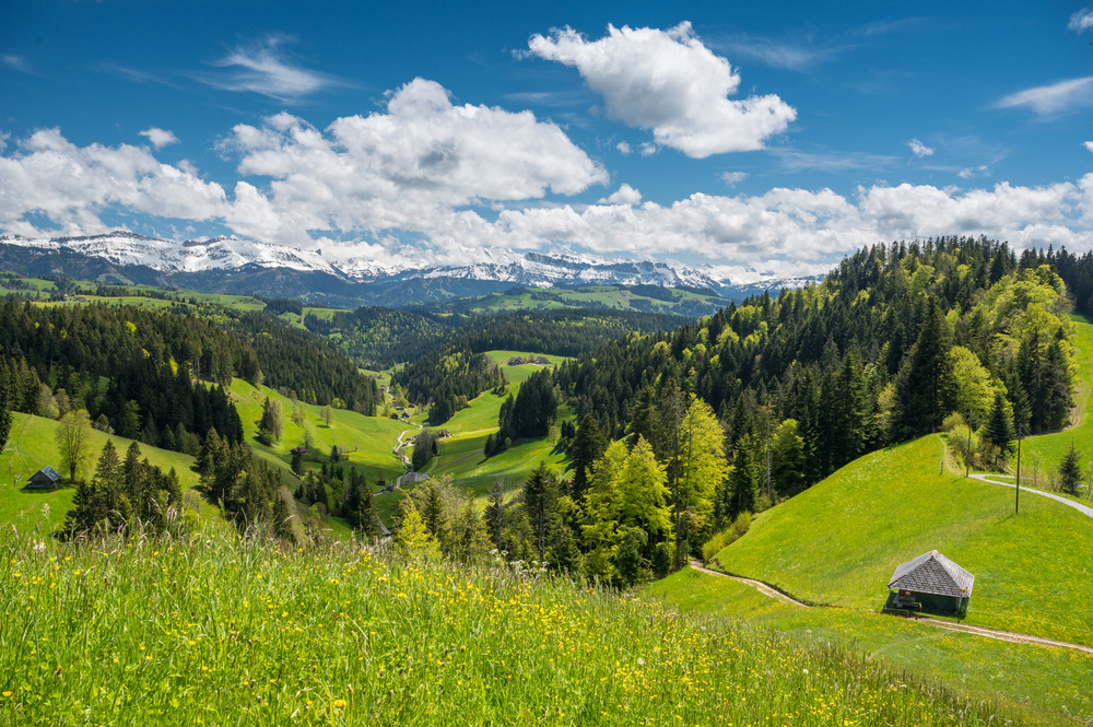 emmental
